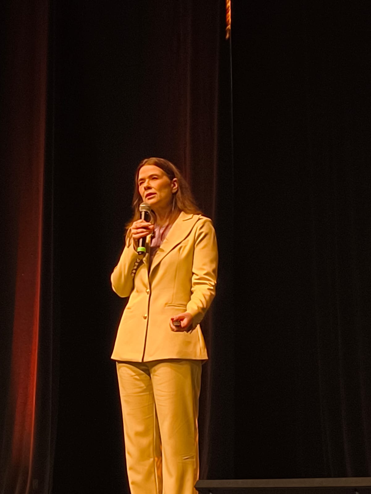 Cristina Hahn em palestra